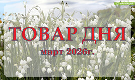 Аптеки ОАО "Фармация" снижают цены!