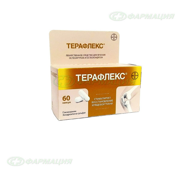 Терафлекс капс №60 (НДС 10%)