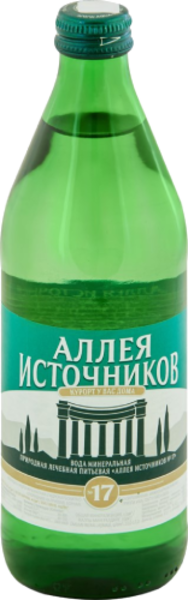 Вода минеральная лечебная питьевая Аллея источников №17 0,5л газ евро стекло