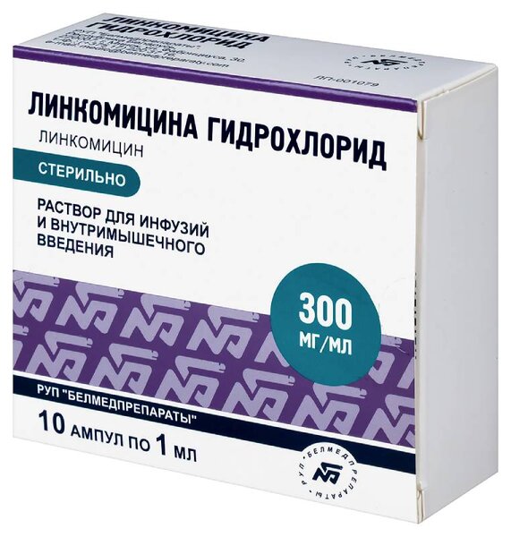 Линкомицина г/х 300мг/мл р-р д/инф и в/м введ амп 1мл №10